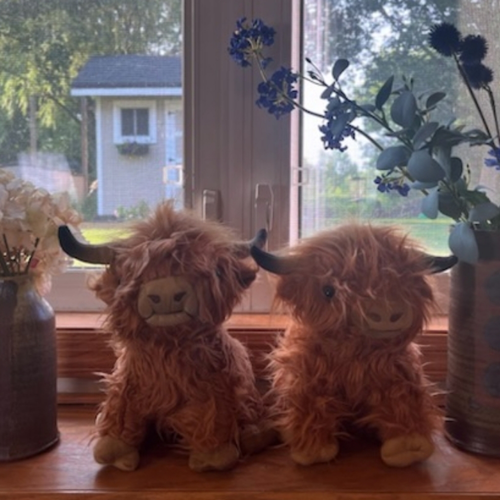 Meet your Posher, Willy And Wally🐮